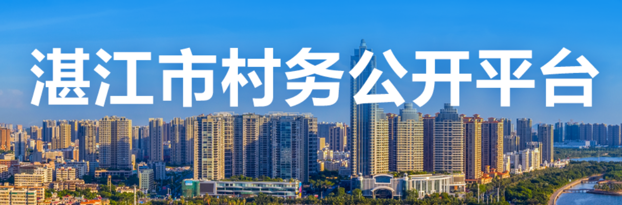 湛江市村務公開平臺